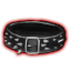 Item Collar Of Obedience.png