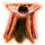 Item Flaming Cape.png