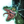 Item Warp Basilisk.png